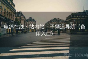 电鸽在线 · 站内站 · 子频道导航(备用入口) 电鸽在线 · 站内站 · 子频道导航(备用入口)