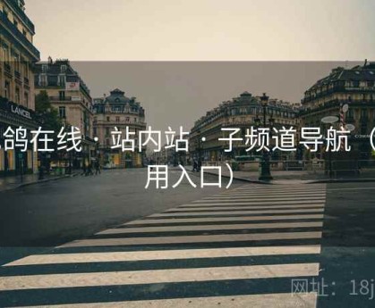 电鸽在线 · 站内站 · 子频道导航(备用入口)
