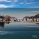 不可思议！国产探花海角的奇葩瞬间