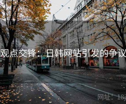 观点交锋：日韩网站引发的争议