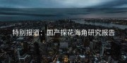 特别报道：国产探花海角研究报告