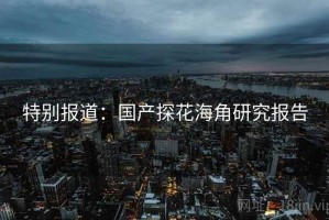 特别报道:国产探花海角研究报告 特别报道:国产探花海角研究报告
