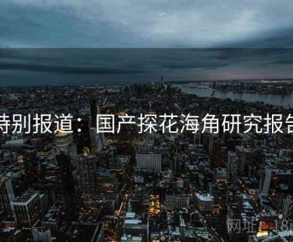 特别报道：国产探花海角研究报告