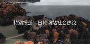 特别报道：日韩网站社会热议