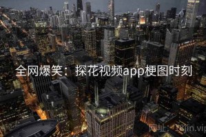 全网爆笑：探花视频app梗图时刻