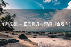 东隅影集 — 画质提升与观感（合规向）