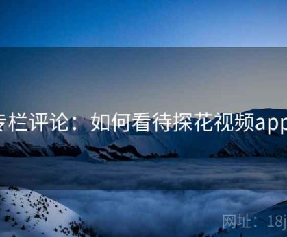 专栏评论:如何看待探花视频app?