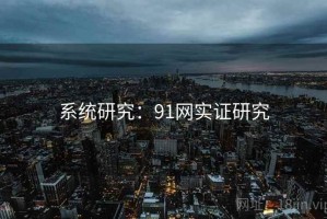 系统研究:91网实证研究 系统研究:91网实证研究
