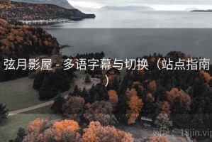 弦月影屋 - 多语字幕与切换（站点指南）