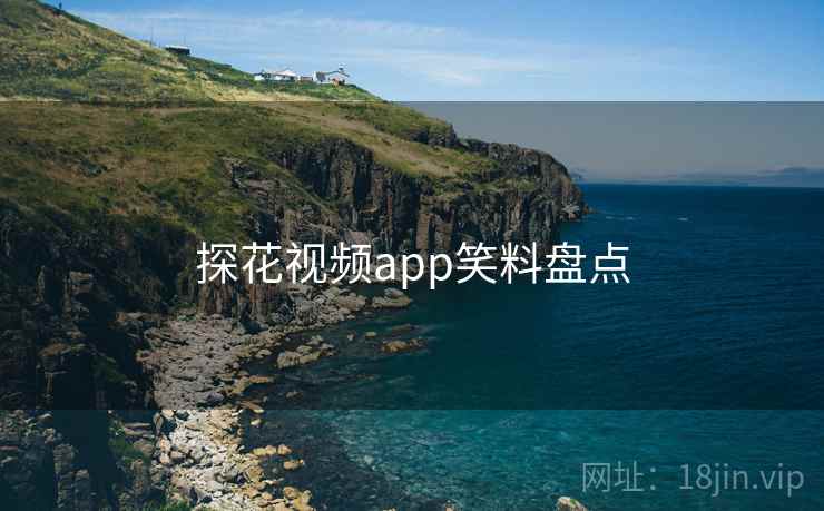 探花视频app笑料盘点 探花视频app笑料盘点