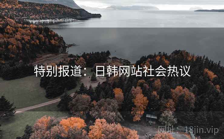 特别报道:日韩网站社会热议 特别报道:日韩网站社会热议