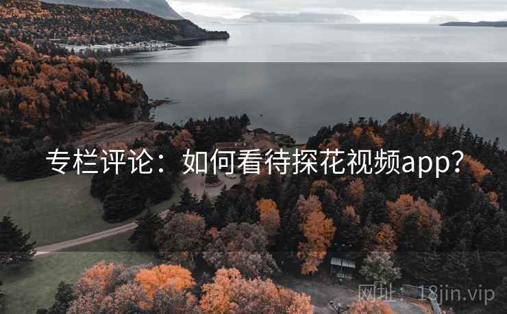专栏评论:如何看待探花视频app? 专栏评论:如何看待探花视频app?