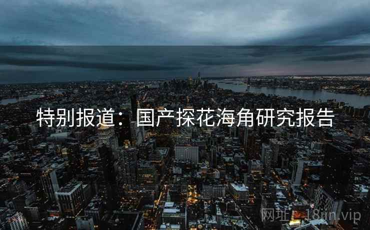 特别报道:国产探花海角研究报告 特别报道:国产探花海角研究报告