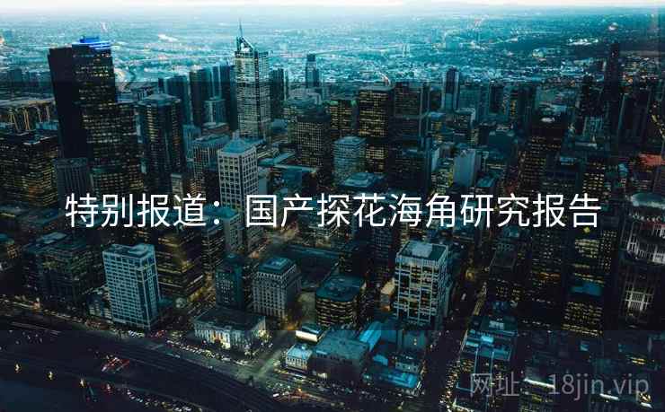 特别报道:国产探花海角研究报告 特别报道:国产探花海角研究报告